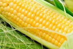 Вкусные рецепты: Булочки "Поросята", Морской язык на решетке гриля, Блинчики в сырную клеточку, фаршированные курятиной