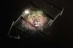 Настройка jimm. Беседуйте в сети комфортно.