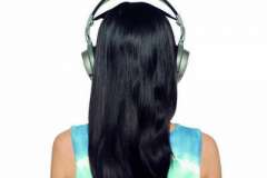 Молодило, посадка и уход