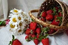 Говяжья тушенка Войсковой Спецрезерв в отзывах экспертов и потребителей