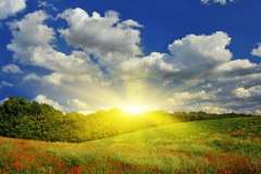 Как украсить интерьер и стать ближе к искусству