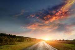 Фаворит – символ успеха