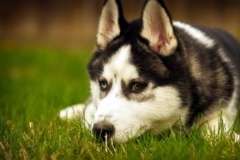 Безопасное поведение рыбаков - любителей