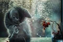 Правила безопасного поведения на льду