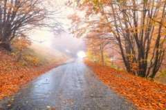 Песталоцци и Анкер. Что их объединило?