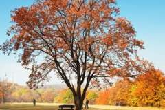 Что мы знаем про Рождество?