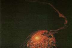 «Песнь о Ёлке». Руна вторая: как рождественская ёлка появилась в России и превратилась в новогоднюю?