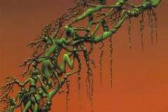 Тициан, «Венера Урбинская». Тициан украл Венеру?