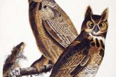 Что мы не знали о романе «Анна Каренина»?