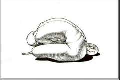 Загадка Шекспира. Кто автор его бессмертных произведений?