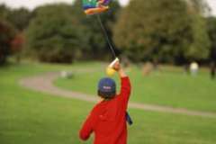 Кто такие нарциссы?