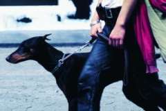 Как почувствовать вкус жизни? Десять ошибок, которые разрушают настоящее