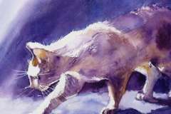 Где цветут жарки? Цикл «Круги по Алтаю»