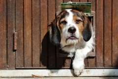 Как реже поливать грядки на своих шести сотках?