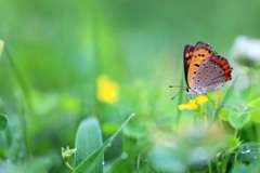 Как создать комфортные условия для проживания на безлюдном острове?