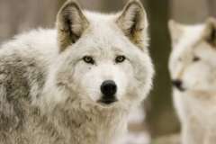 Что такое радужные облака?