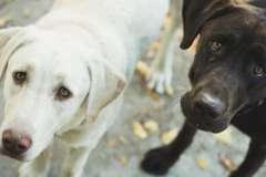 Соленое озеро Баскунчак. Есть ли альтернатива Мертвому морю?