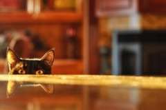 Города Прованса: куда податься шопоголикам, а куда любителям истории? Авиньон и Марсель