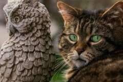 Сланцевый газ. Каковы плюсы и минусы его использования?