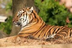 Города Прованса: куда податься шопоголикам, а куда любителям истории? Экс-ан-Прованс и Арль