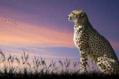 Что такое гипотетические астрономические объекты? Солнечная Система