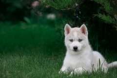 На каком расстоянии от Земли начинается космос?