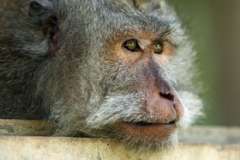 Забайкалье. О чем тоскуют духи Хээтэй?