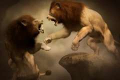 Стукач или борец за справедливость? Для кого молчание - не золото