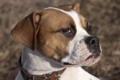 Путешествие по Беларуси. Какие места стоит увидеть в Гомеле?