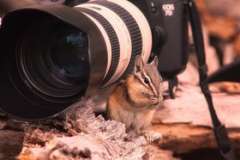 Можно ли обойтись без швейных ниток?