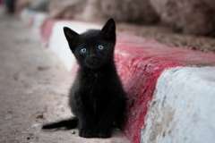 Что станут добывать на Луне?