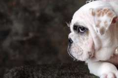 Самостоятельный туризм - сложно или нет? Поездка в Германию, Берлин