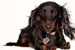 Для чего в школах преподают «Основы православной культуры»?