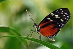 Как быстро попасть в Финляндию? Из Петербурга в Лаппеэнранту через Вайниккала