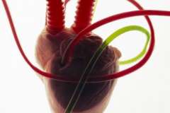 Международная медицинская страховка: топ-5 плюсов международного ДМС