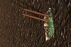 Куда можно обратиться за помощью в создании и раскрутке сайтов?